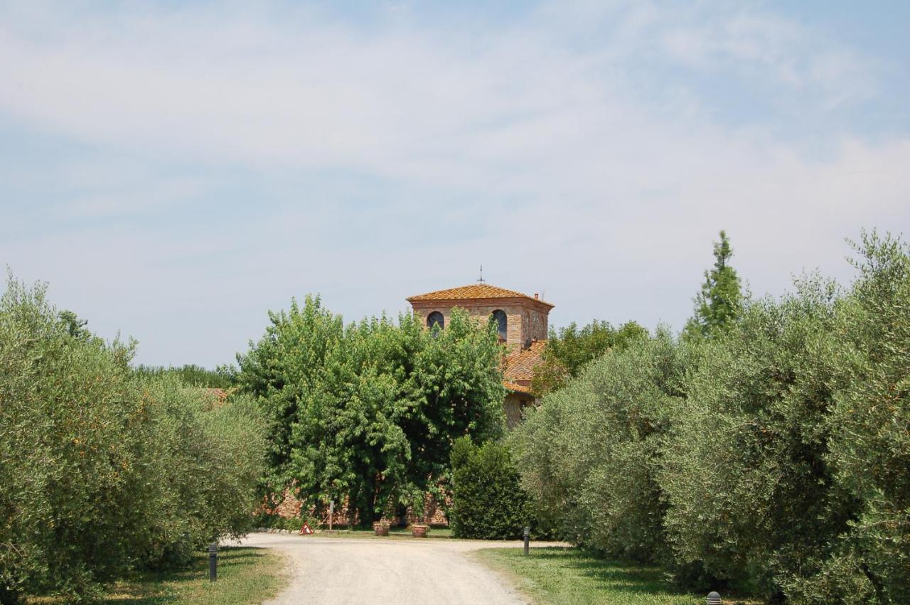 Agriturismo Il Selvino Terricciola Exteriér fotografie