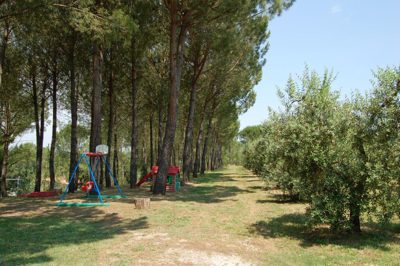 Agriturismo Il Selvino Terricciola Exteriér fotografie