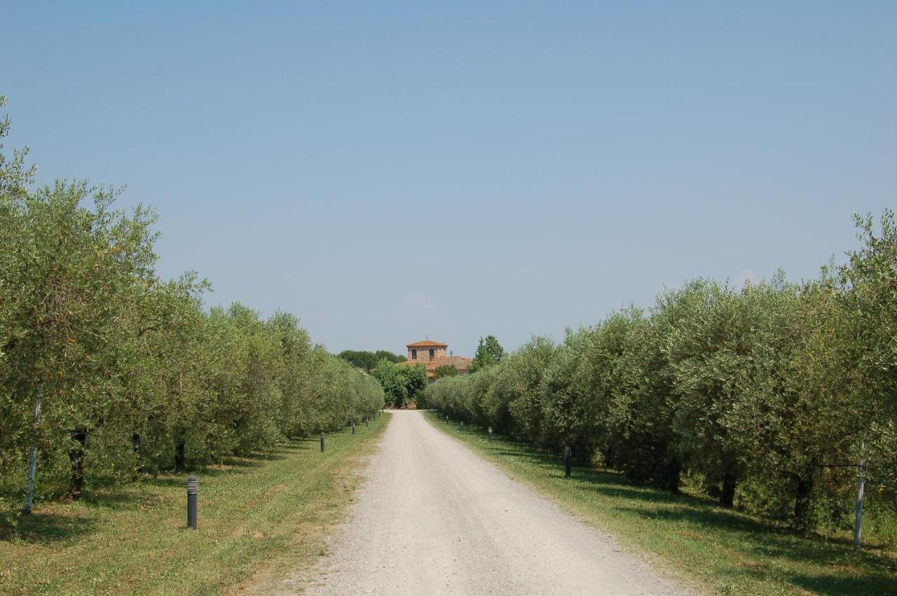 Agriturismo Il Selvino Terricciola Exteriér fotografie