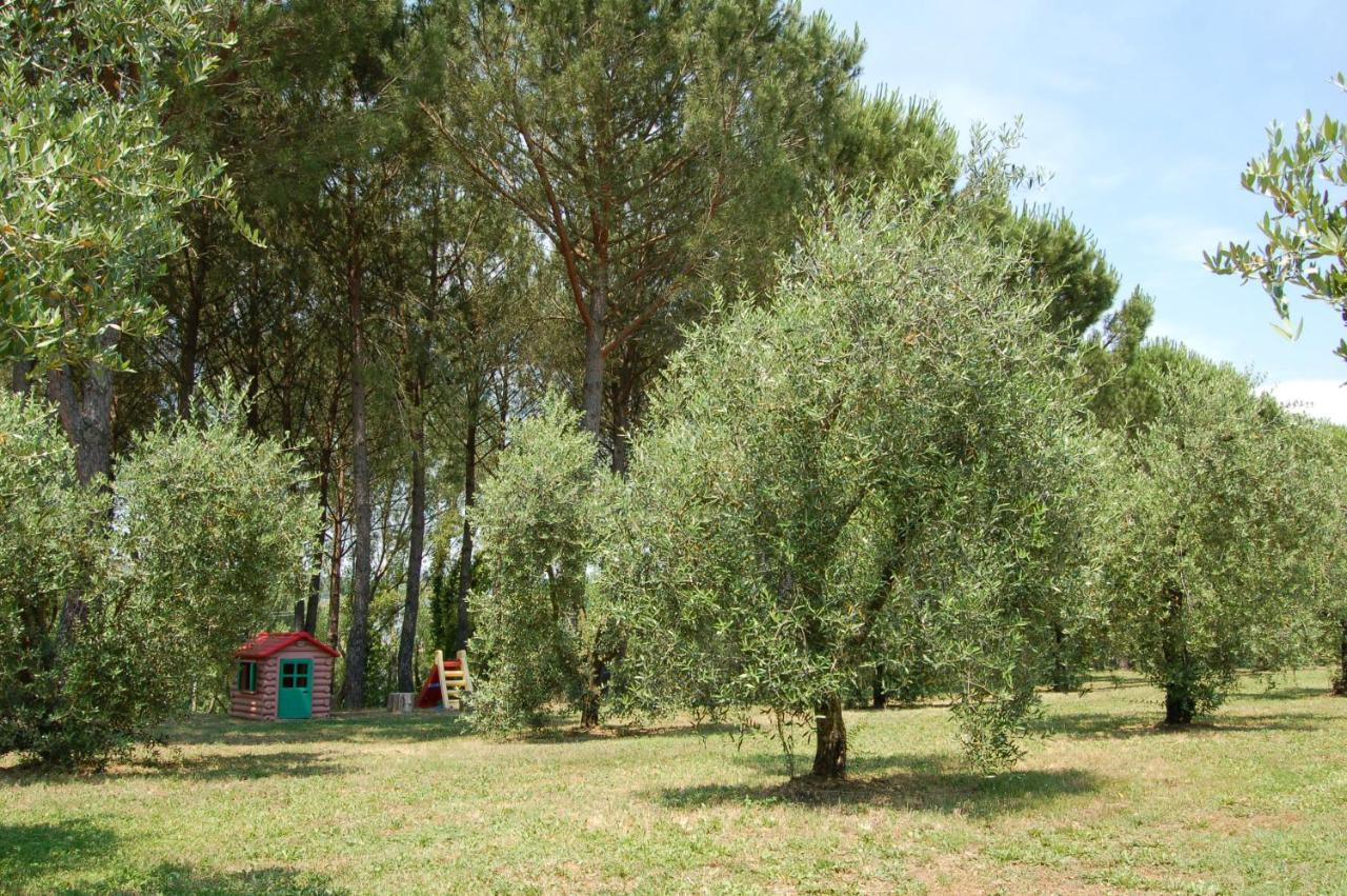 Agriturismo Il Selvino Terricciola Exteriér fotografie