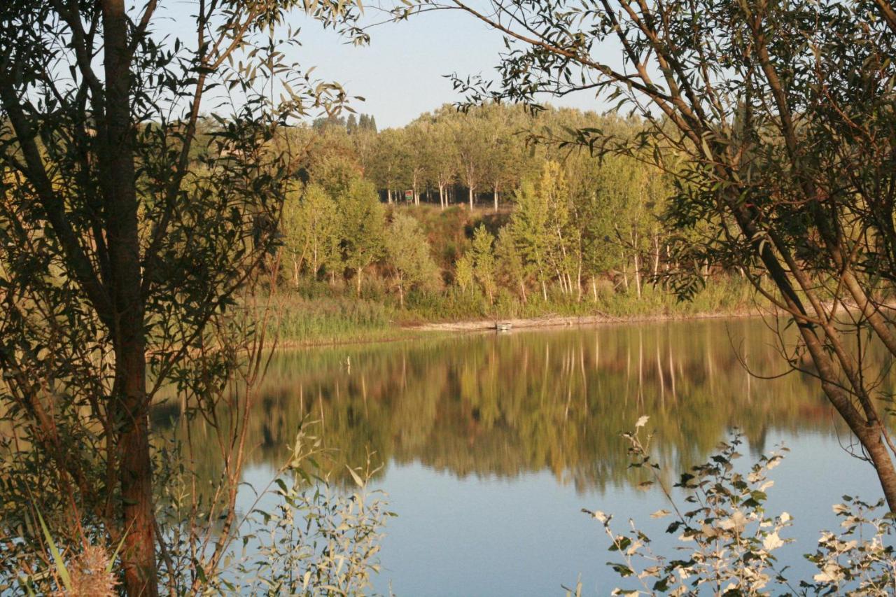 Agriturismo Il Selvino Terricciola Exteriér fotografie