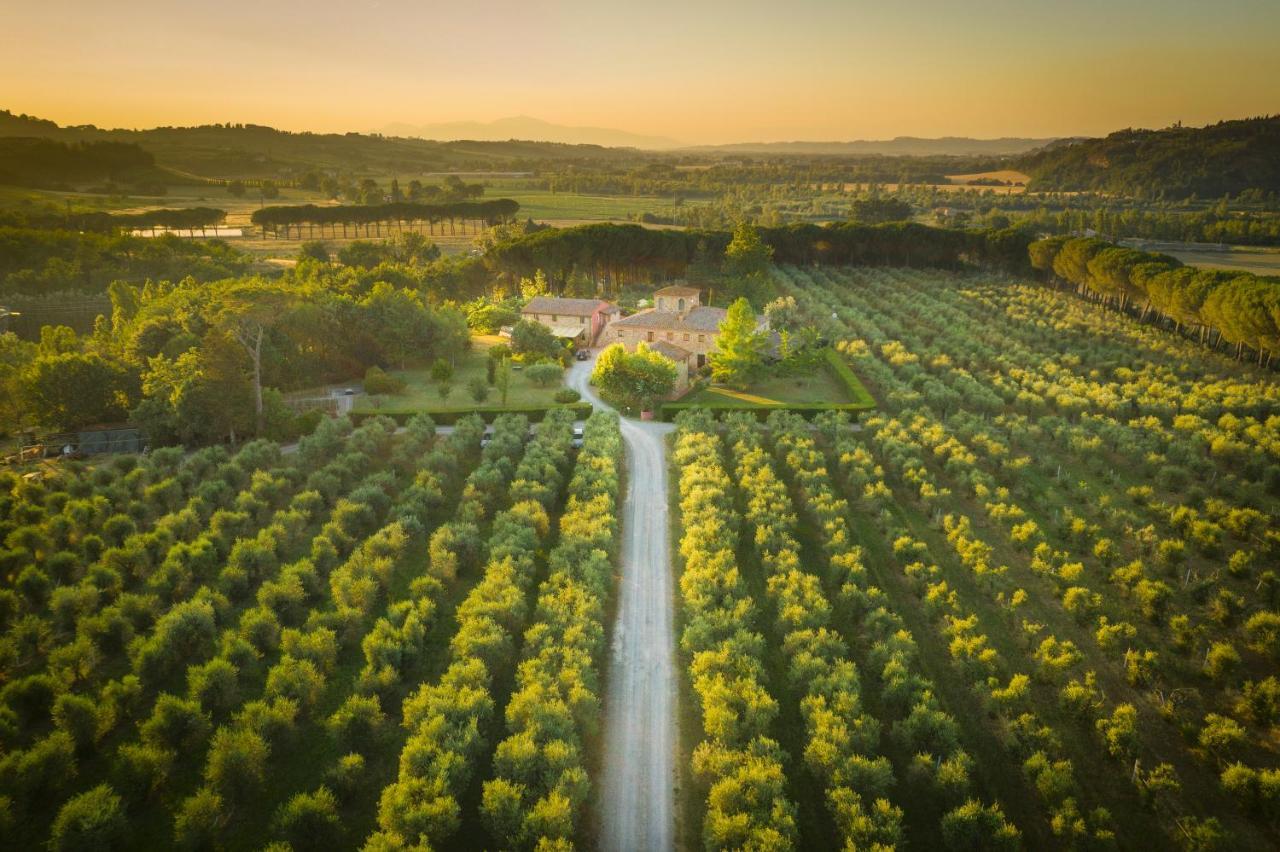 Agriturismo Il Selvino Terricciola Exteriér fotografie